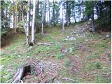 Hunting cottage Na Brežičih - Kocbekov dom na Korošici